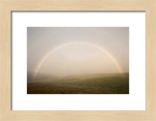 Fog Bow Over Green Meadow