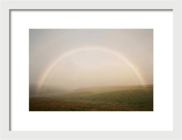 Fog Bow Over Green Meadow