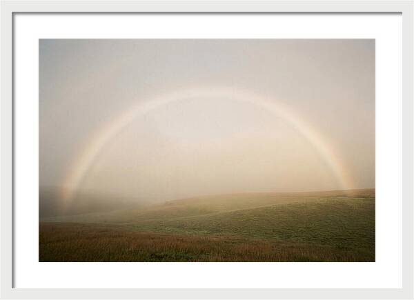 Fog Bow Over Green Meadow