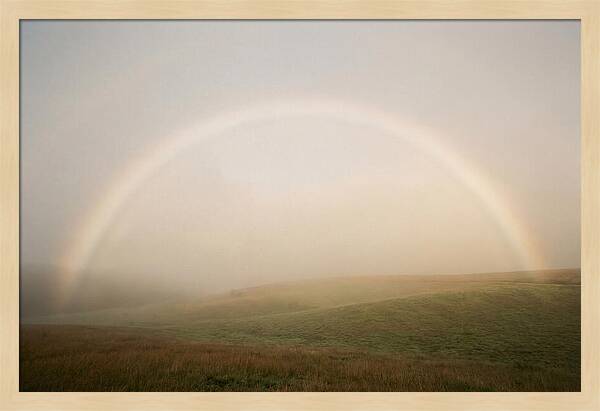 Fog Bow Over Green Meadow