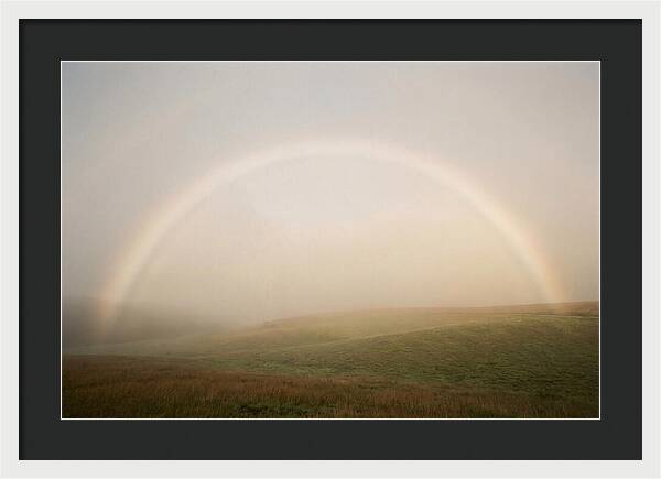 Fog Bow Over Green Meadow