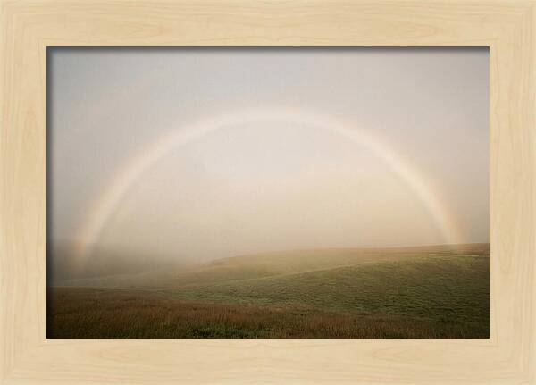 Fog Bow Over Green Meadow