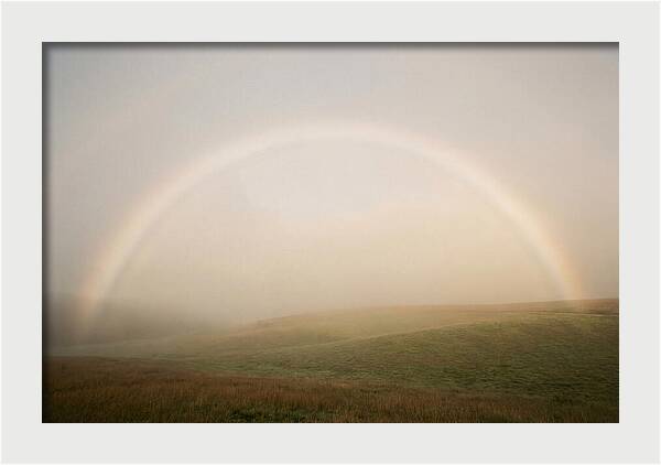 Fog Bow Over Green Meadow