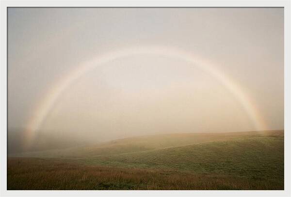 Fog Bow Over Green Meadow