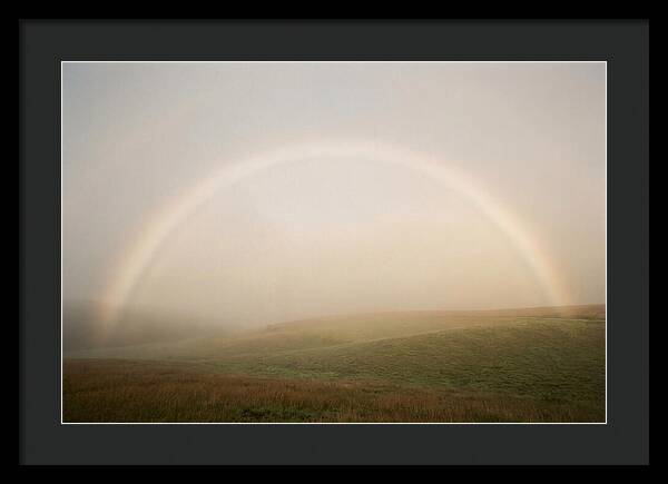 Fog Bow Over Green Meadow