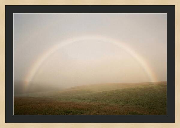 Fog Bow Over Green Meadow