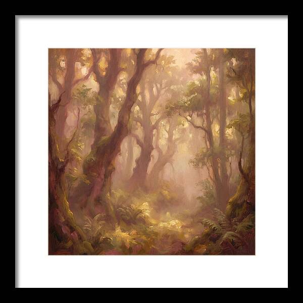 Foggy Forest