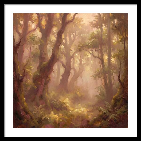 Foggy Forest