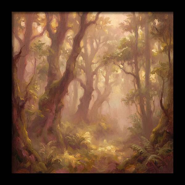 Foggy Forest