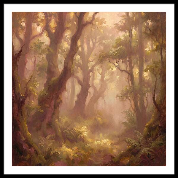 Foggy Forest