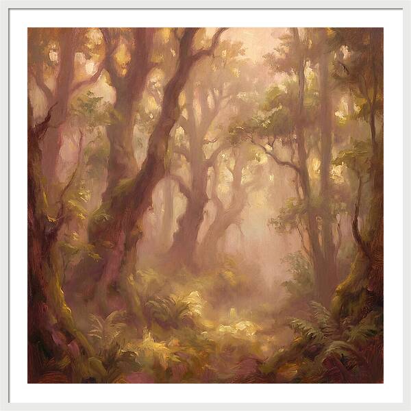 Foggy Forest