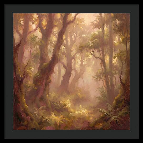 Foggy Forest
