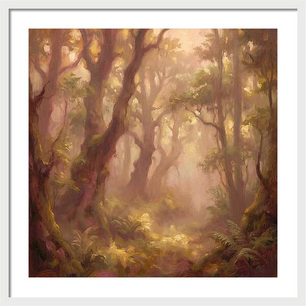 Foggy Forest
