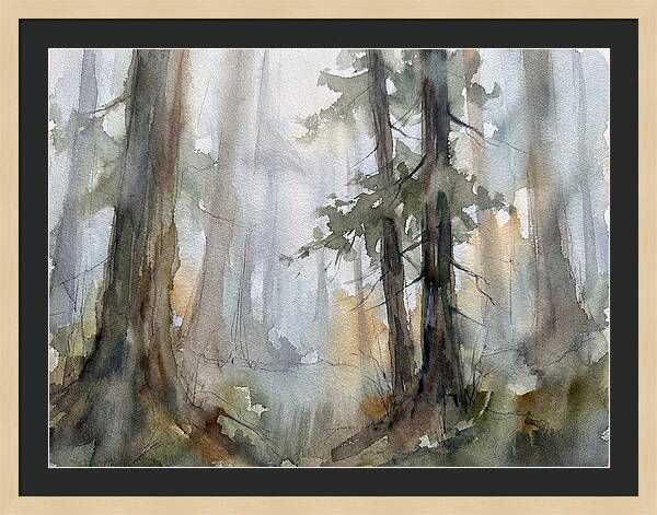 Foggy Forest Serenity