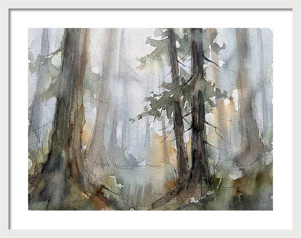 Foggy Forest Serenity
