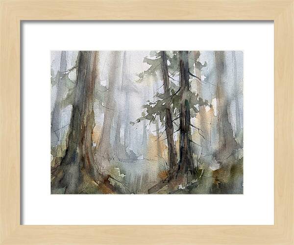 Foggy Forest Serenity