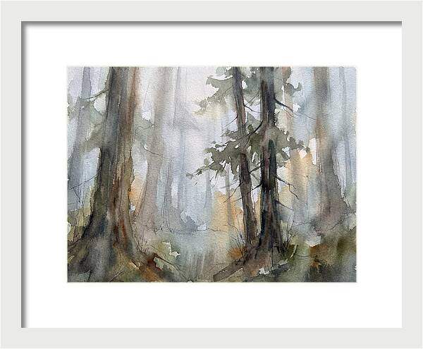 Foggy Forest Serenity