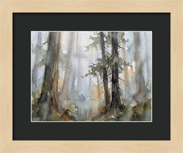 Foggy Forest Serenity