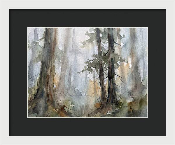 Foggy Forest Serenity