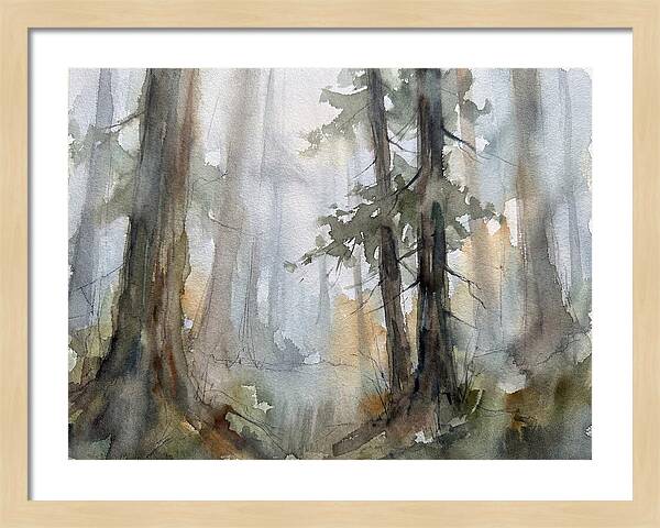 Foggy Forest Serenity