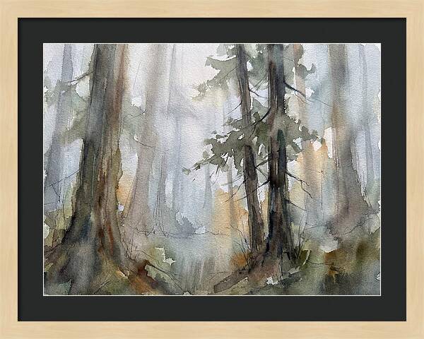 Foggy Forest Serenity