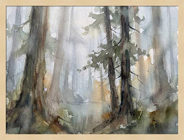 Foggy Forest Serenity
