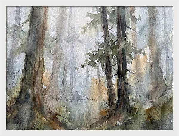 Foggy Forest Serenity