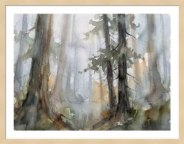 Foggy Forest Serenity