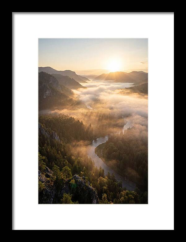 Foggy Valley At Sunrise