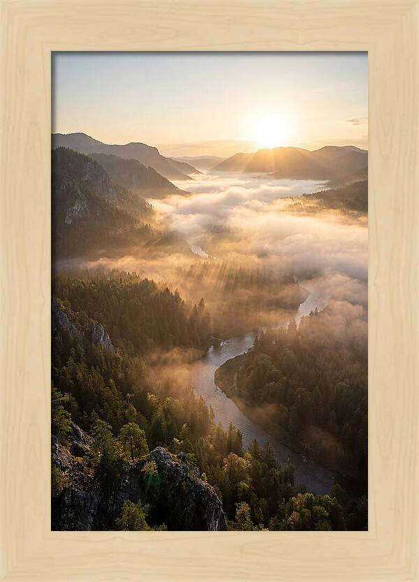 Foggy Valley At Sunrise