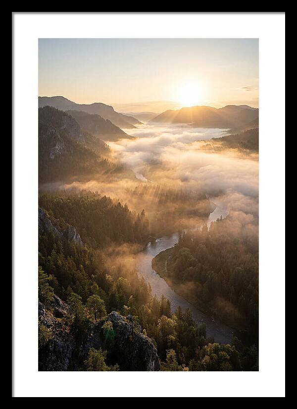 Foggy Valley At Sunrise