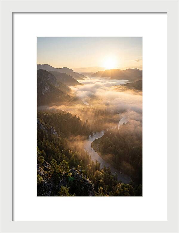 Foggy Valley At Sunrise