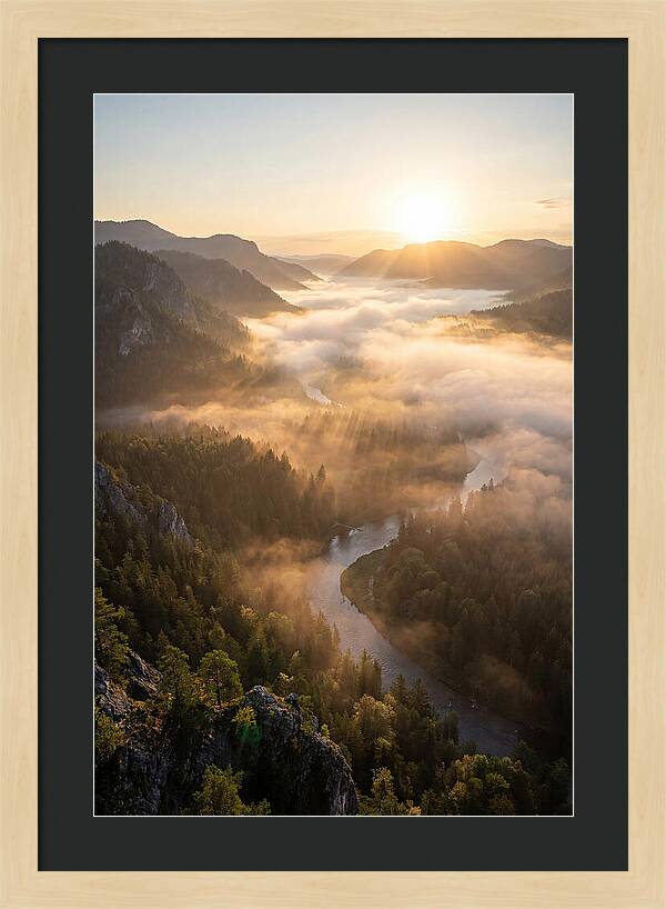 Foggy Valley At Sunrise