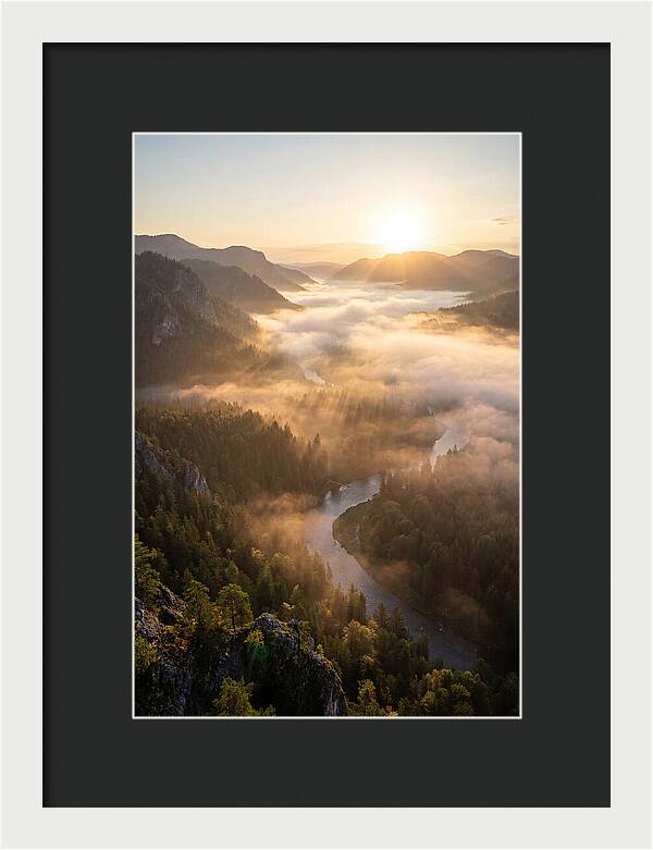 Foggy Valley At Sunrise