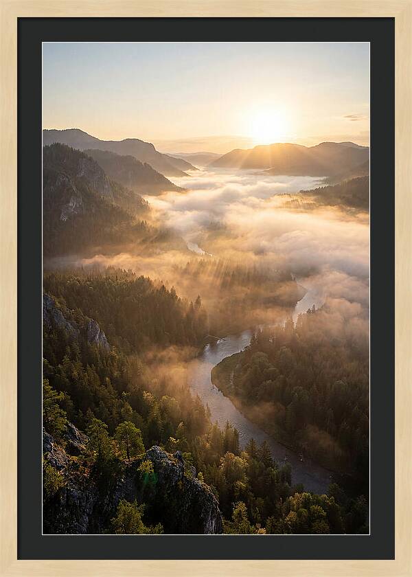 Foggy Valley At Sunrise