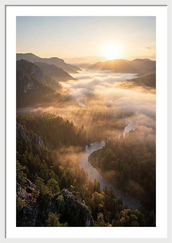 Foggy Valley At Sunrise