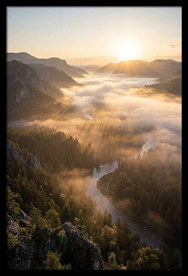 Foggy Valley At Sunrise