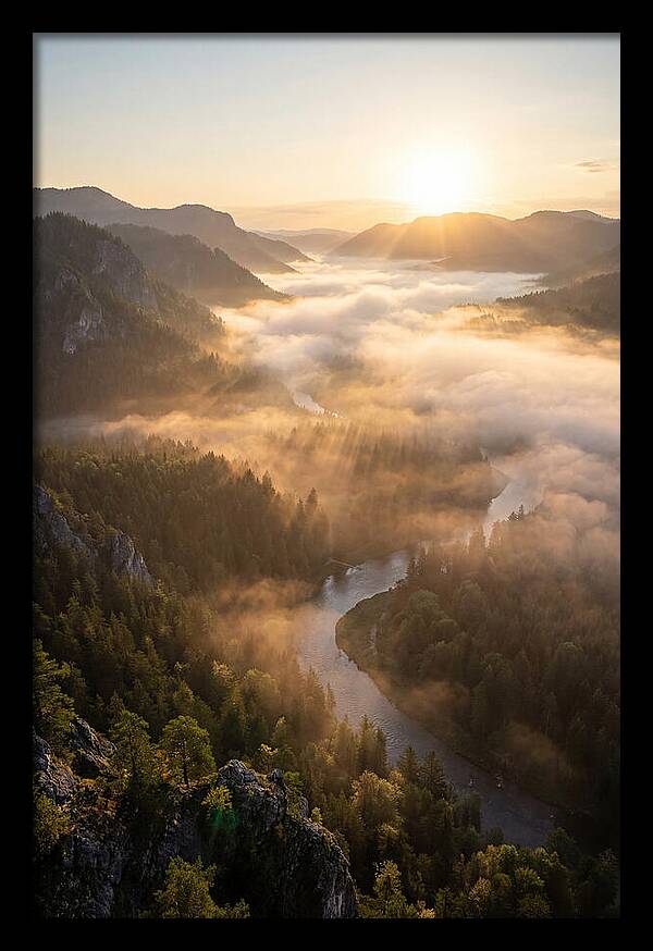 Foggy Valley At Sunrise