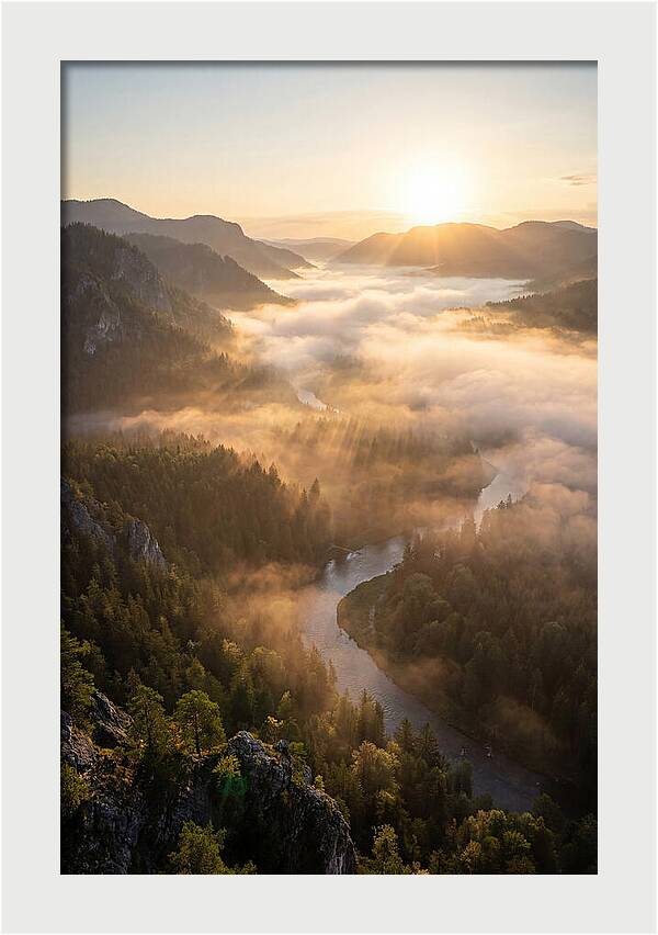 Foggy Valley At Sunrise