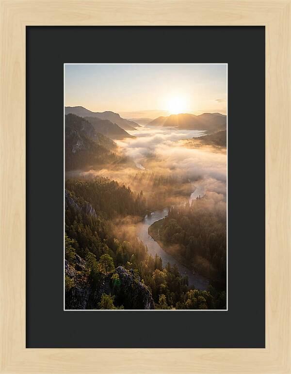 Foggy Valley At Sunrise