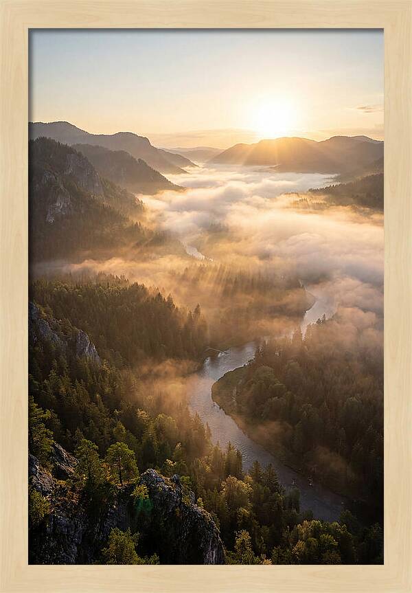 Foggy Valley At Sunrise