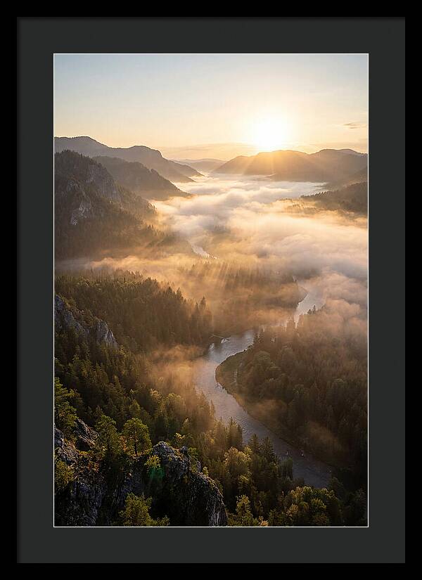 Foggy Valley At Sunrise