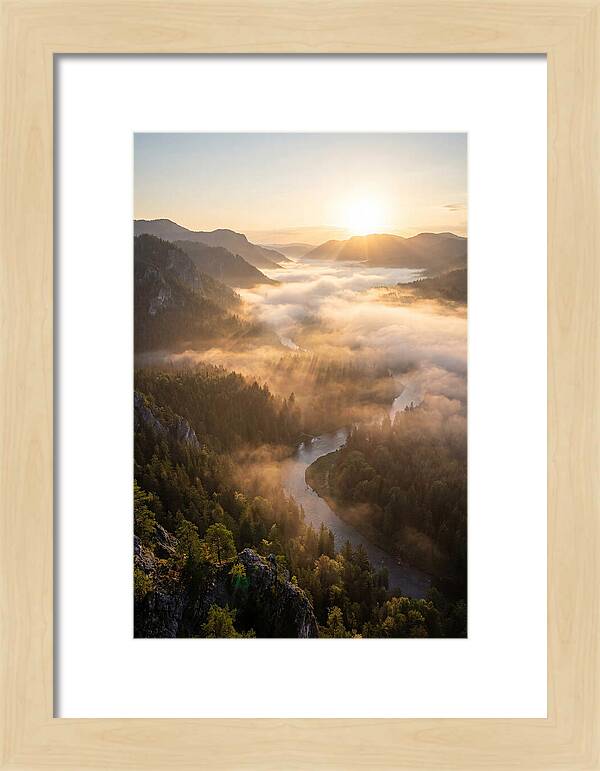 Foggy Valley At Sunrise