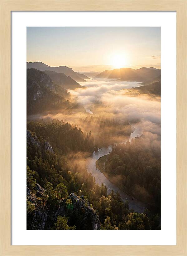 Foggy Valley At Sunrise