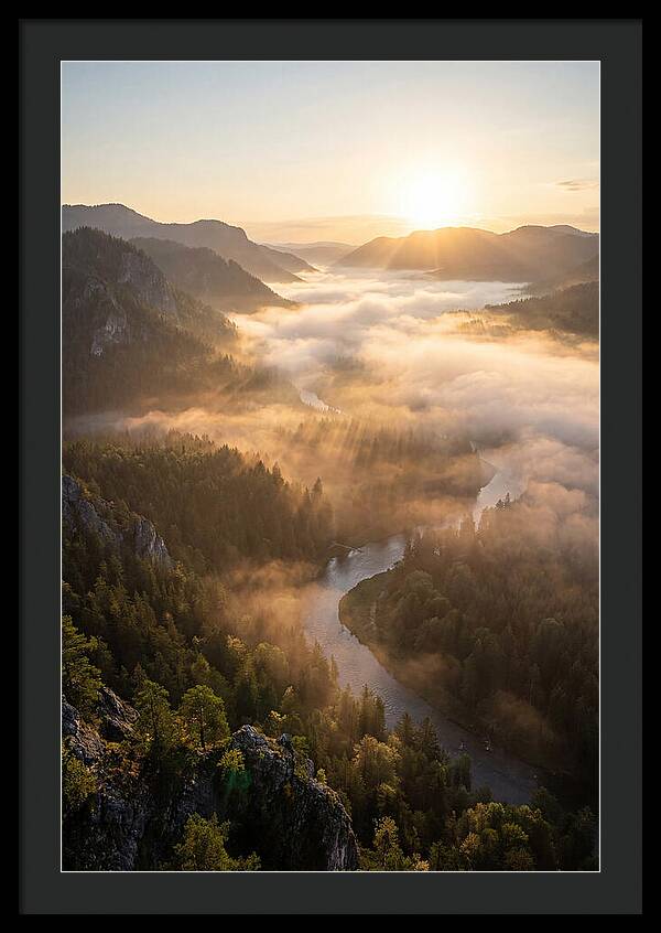 Foggy Valley At Sunrise