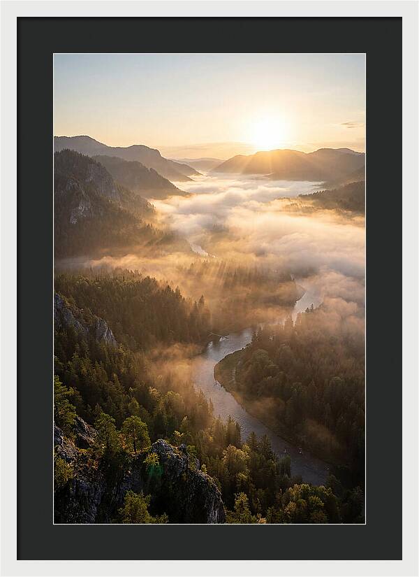 Foggy Valley At Sunrise