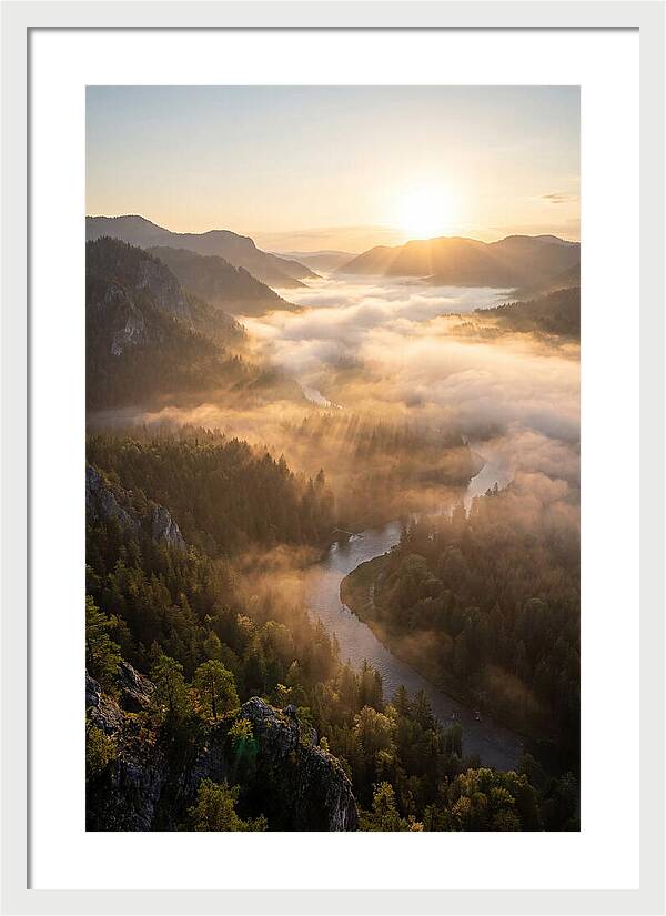 Foggy Valley At Sunrise
