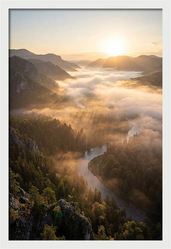 Foggy Valley At Sunrise