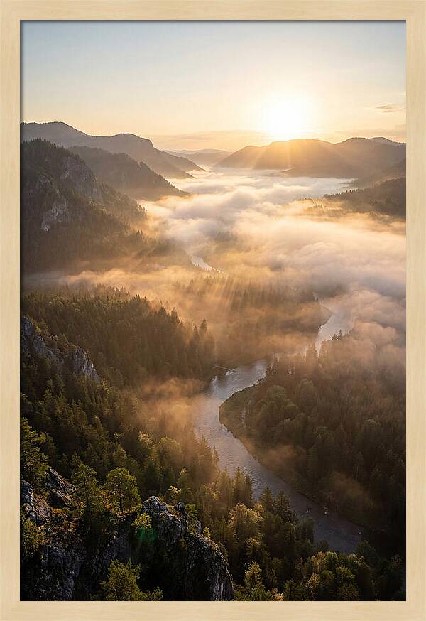 Foggy Valley At Sunrise