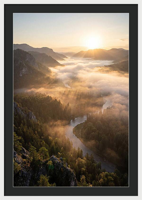 Foggy Valley At Sunrise
